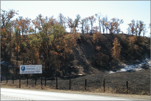 Clear Lake watershed burn